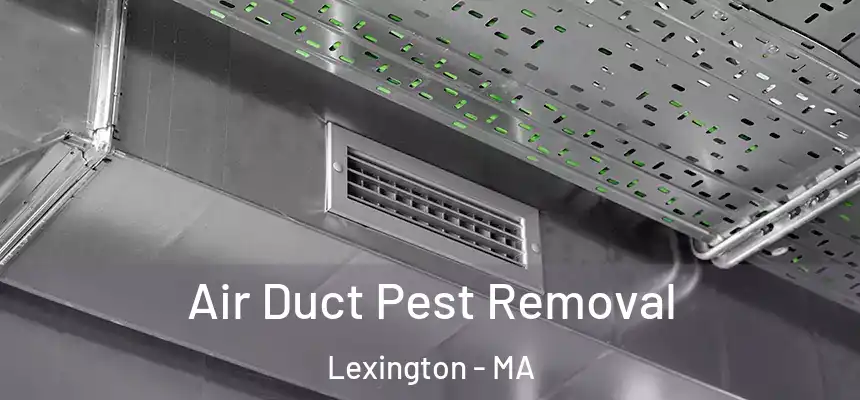  Air Duct Pest Removal Lexington - MA