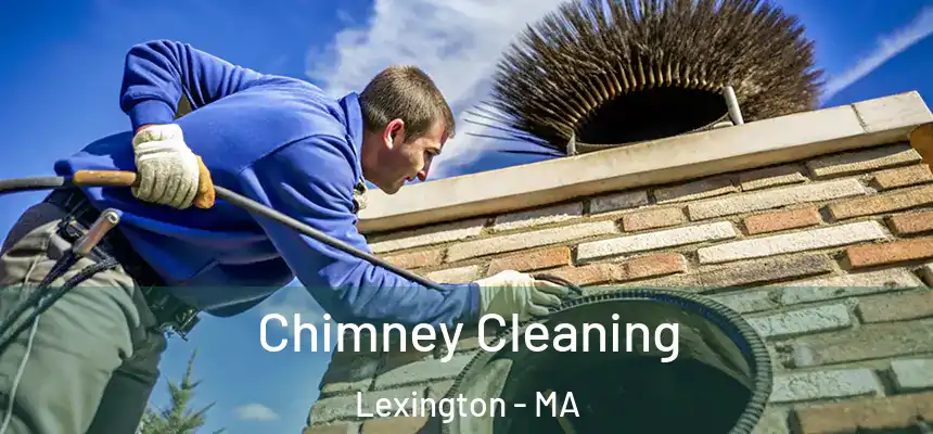  Chimney Cleaning Lexington - MA