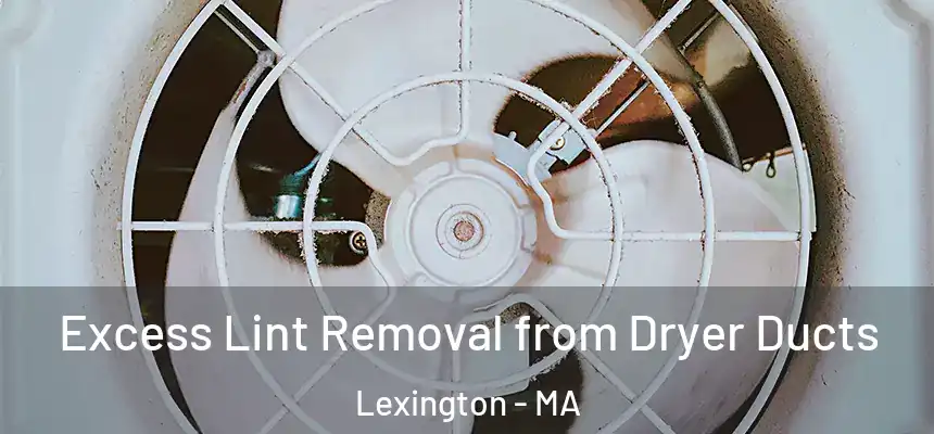 Excess Lint Removal from Dryer Ducts Lexington - MA
