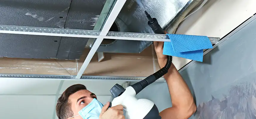 Our Air Duct Rodent Removal Services in Lexington, MA