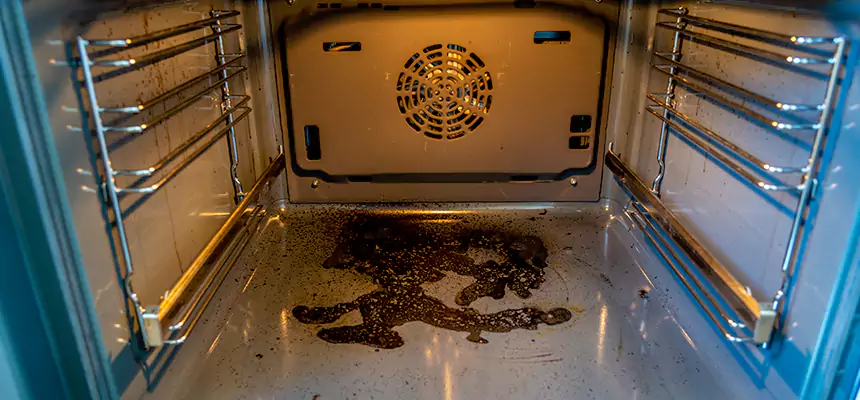 Our Dryer Vent Mold Cleaning Services in Lexington, MA