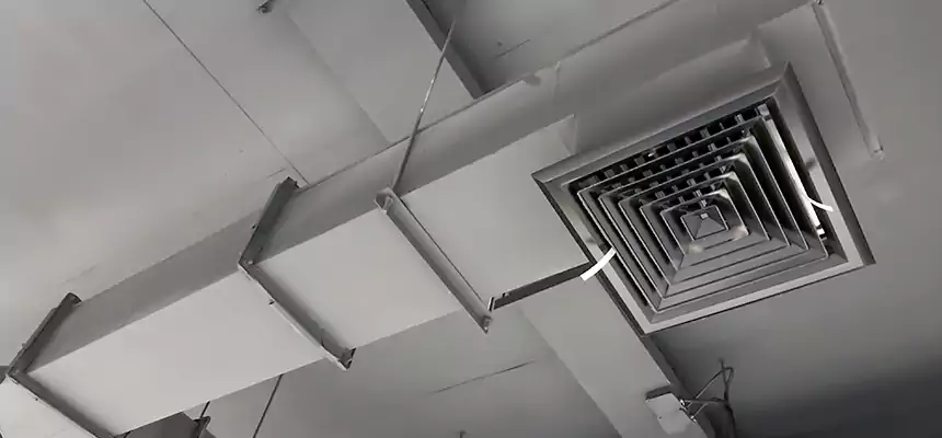 Our Rodent Droppings In Vents Services in Lexington, MA