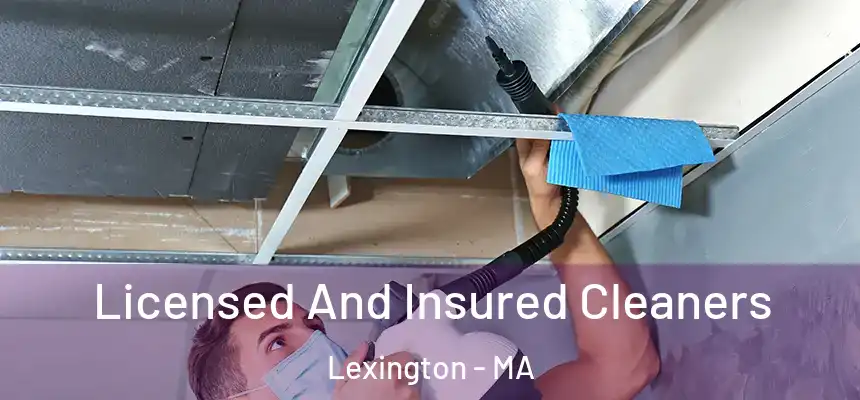  Licensed And Insured Cleaners Lexington - MA