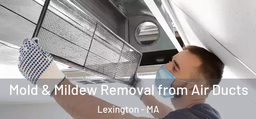  Mold & Mildew Removal from Air Ducts Lexington - MA