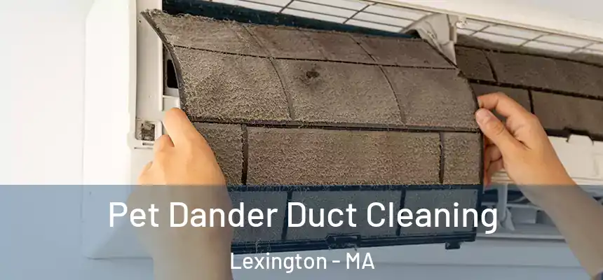  Pet Dander Duct Cleaning Lexington - MA