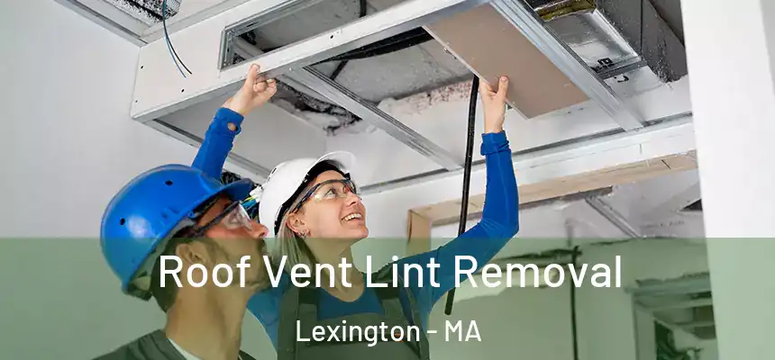  Roof Vent Lint Removal Lexington - MA