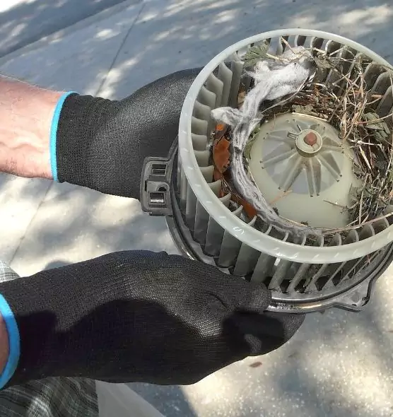 About Air Duct Mice Removal in Lexington, MA