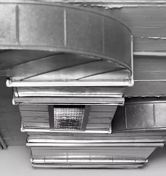 Professional Air Duct Pest Removal in Lexington, MA