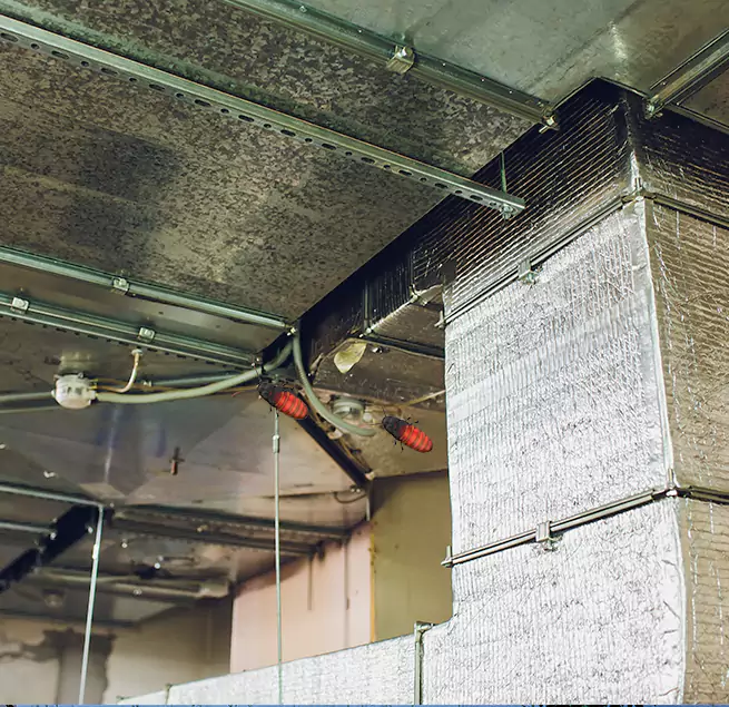 Why Homeowners & Businesses Trust Us in Lexington, MA?